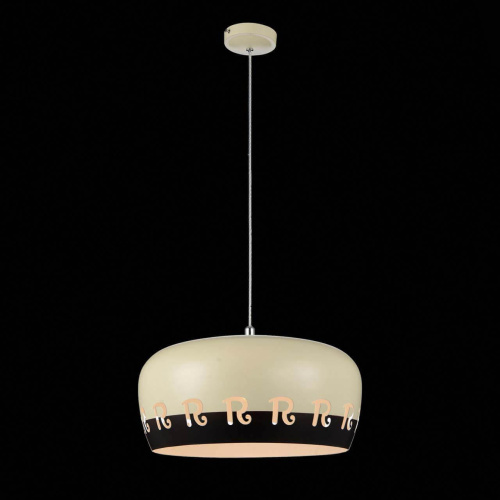 Подвесной светильник ST Luce SL260.503.01 Подвесной светильник ST Luce SL260.503.01