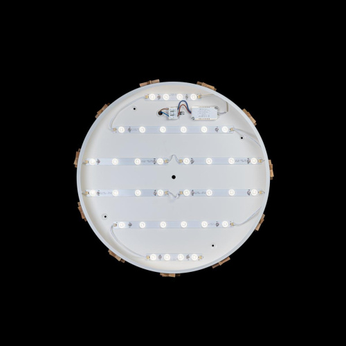 Потолочный светодиодный светильник Loft IT Axel 10006/36 white Потолочный светодиодный светильник Loft IT Axel 10006/36 white