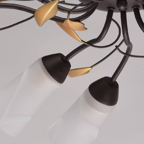 Потолочная люстра MW-Light Восторг 242015410 Потолочная люстра MW-Light Восторг 242015410