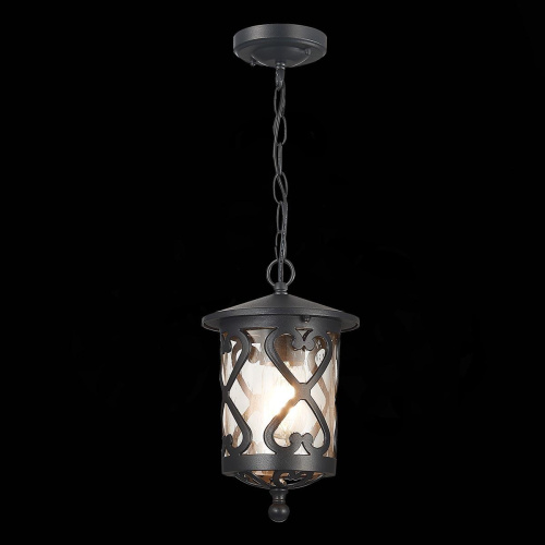 Уличный подвесной светильник ST Luce Lorne SL085.403.01 Уличный подвесной светильник ST Luce Lorne SL085.403.01