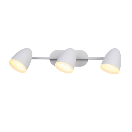 Светодиодный спот ST Luce Padivio SL387.501.03