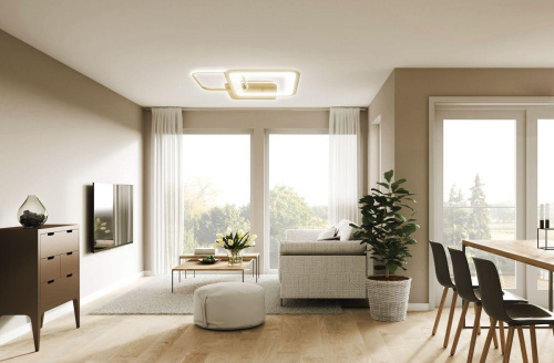 Потолочная светодиодная люстра Escada 10246/2LED Потолочная светодиодная люстра Escada 10246/2LED