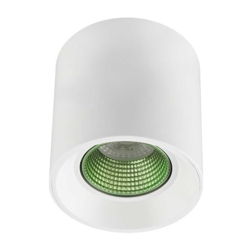 Потолочный светильник Denkirs DK3020WGR DK3090-WH+GR Потолочный светильник Denkirs DK3020WGR DK3090-WH+GR