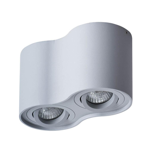 Потолочный светильник Arte Lamp Falcon A5645PL-2GY Потолочный светильник Arte Lamp Falcon A5645PL-2GY