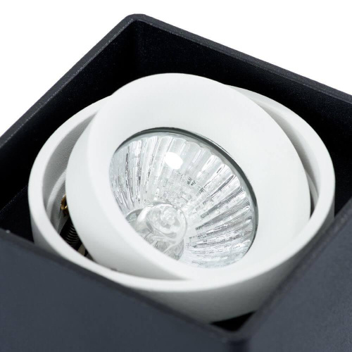 Потолочный светильник Arte Lamp A5655PL-1BK Потолочный светильник Arte Lamp A5655PL-1BK