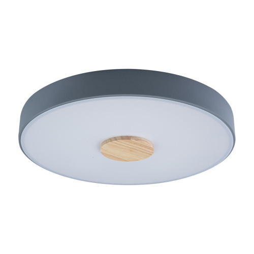 Потолочный светодиодный светильник Loft IT Axel 10003/24 grey Потолочный светодиодный светильник Loft IT Axel 10003/24 grey