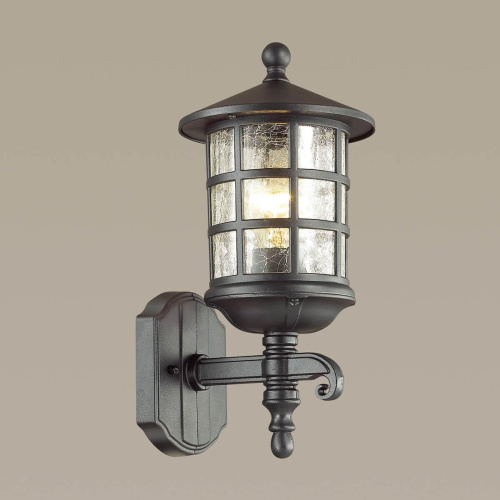 Уличный настенный светильник Odeon Light Nature House 4043/1W