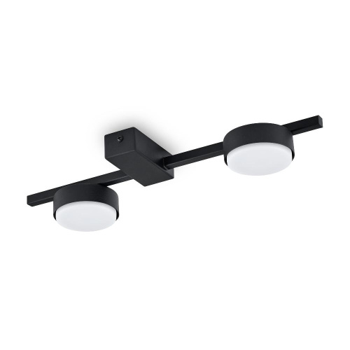 Потолочный светильник Freya FR5363CL-02B Потолочный светильник Freya FR5363CL-02B