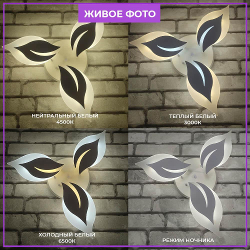 Потолочная люстра Seven Fires Omenya 75391.01.09.03 Потолочная люстра Seven Fires Omenya 75391.01.09.03