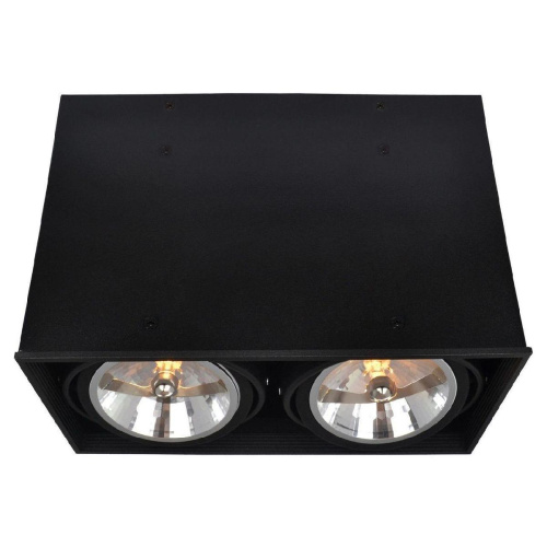 Потолочный светильник Arte Lamp Cardani A5936PL-2BK Потолочный светильник Arte Lamp Cardani A5936PL-2BK