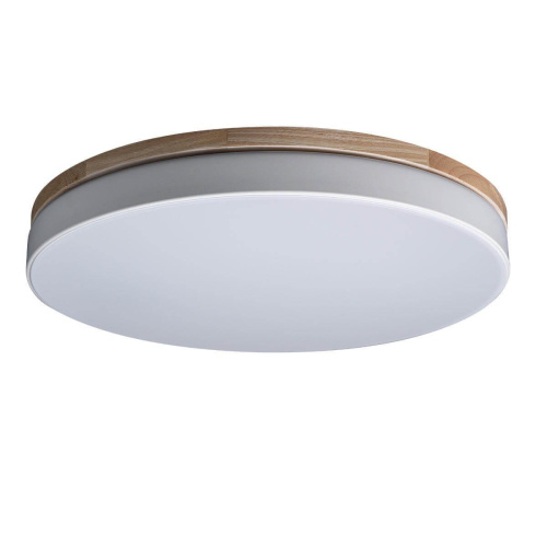 Потолочный светодиодный светильник Loft IT Axel 10001/36 white Потолочный светодиодный светильник Loft IT Axel 10001/36 white