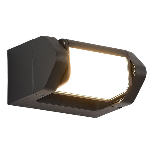 Уличный настенный светодиодный светильник ST Luce Protech SL9540.701.01 Уличный настенный светодиодный светильник ST Luce Protech SL9540.701.01