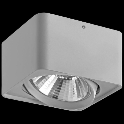 Потолочный светильник Lightstar Monocco 212619 Потолочный светильник Lightstar Monocco 212619