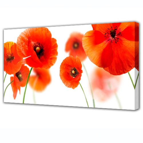 Холст Toplight Цветы 100х150х3см TL-H3018 Холст Toplight Цветы 100х150х3см TL-H3018