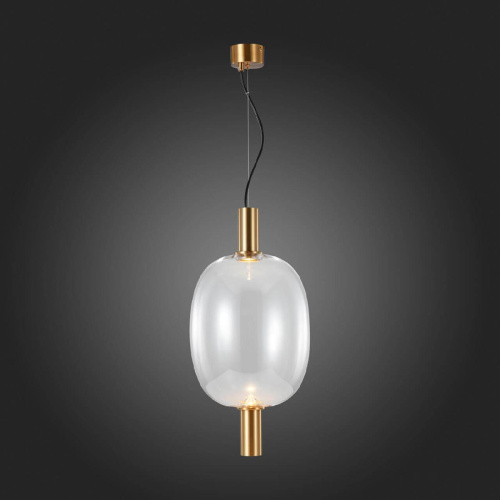 Подвесной светодиодный светильник ST Luce Allenore SL1582.313.01 Подвесной светодиодный светильник ST Luce Allenore SL1582.313.01