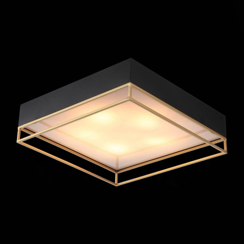 Потолочный светильник ST Luce Chodo SL1127.422.05 Потолочный светильник ST Luce Chodo SL1127.422.05