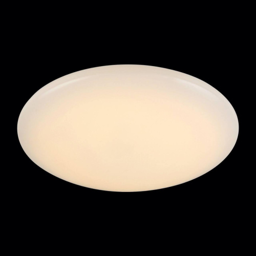 Потолочный светодиодный светильник ST Luce Inse SL875.062.01 Потолочный светодиодный светильник ST Luce Inse SL875.062.01