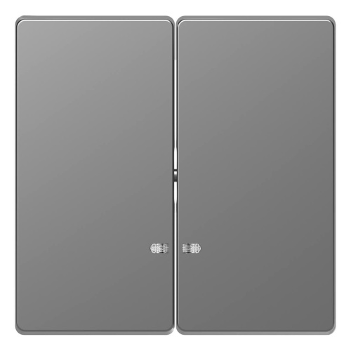 Клавиша двойная Schneider Electric Merten D-Life MTN3420-6036