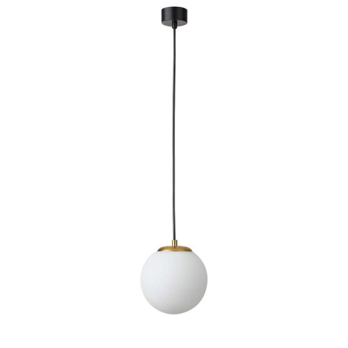 Подвесной светильник Lumion DEXTER 6500/1 Подвесной светильник Lumion DEXTER 6500/1