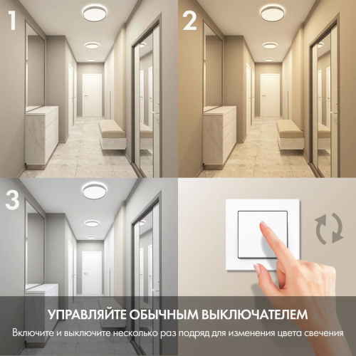 Потолочный светодиодный светильник Denkirs DK6511-WH/1 Потолочный светодиодный светильник Denkirs DK6511-WH/1
