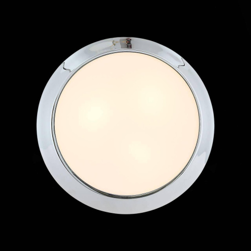 Потолочный светильник ST Luce Bagno SL469.502.03
