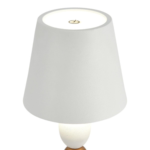 Настольная лампа ST Luce Ease SL1011.514.01 Настольная лампа ST Luce Ease SL1011.514.01