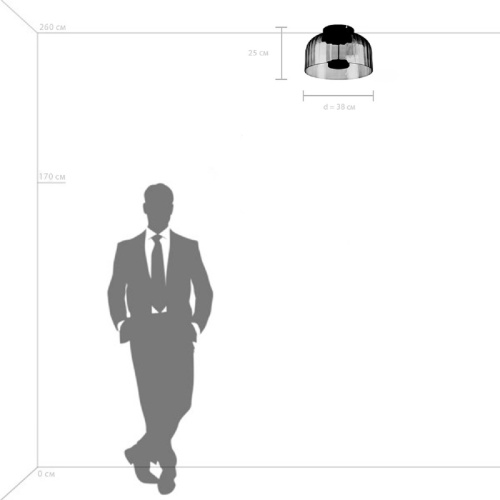 Потолочный светодиодный светильник Lightstar Celesta 809062 Потолочный светодиодный светильник Lightstar Celesta 809062