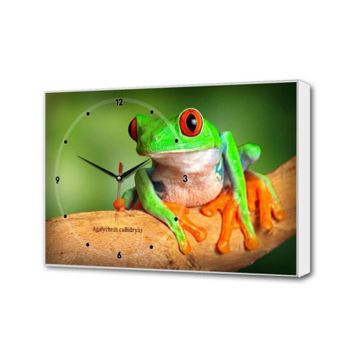 Настенные часы Зеленная лягушка Timebox Toplight 37х60х4см TL-C5023 Настенные часы Зеленная лягушка Timebox Toplight 37х60х4см TL-C5023