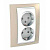 Розетка двойная Schneider Electric Unica с/з со шторками 10A 250V MGU63.067.867