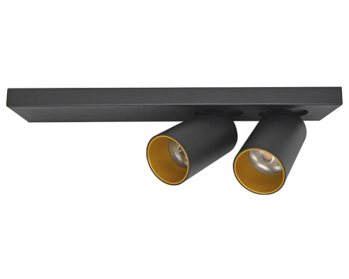 Светодиодный спот Lumien Hall Кайл 8002/2W-BK-GD Светодиодный спот Lumien Hall Кайл 8002/2W-BK-GD