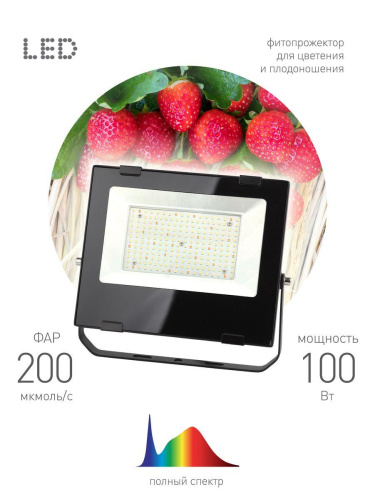 Прожектор светодиодный для растений ЭРА 100W 4000K Fito-100W-Ra90-Led Б0047876 Прожектор светодиодный для растений ЭРА 100W 4000K Fito-100W-Ra90-Led Б0047876