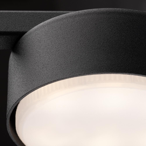 Потолочный светильник Freya FR5363CL-01B Потолочный светильник Freya FR5363CL-01B