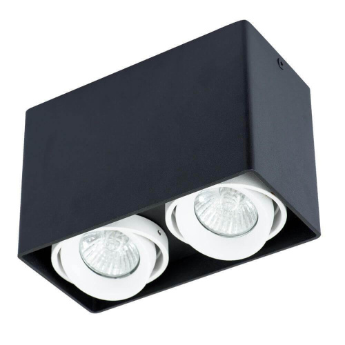 Потолочный светильник Arte Lamp A5655PL-2BK Потолочный светильник Arte Lamp A5655PL-2BK