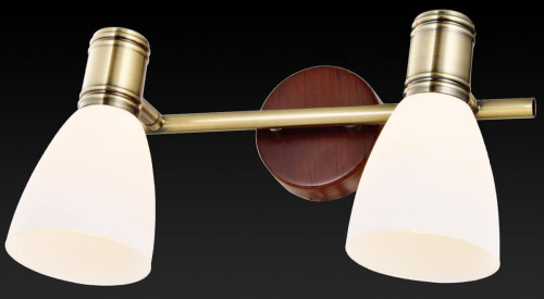 Спот Toplight Sharyl TL3720Y-02BB Спот Toplight Sharyl TL3720Y-02BB