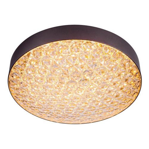 Потолочный светодиодный светильник Escada 10246/1LED Потолочный светодиодный светильник Escada 10246/1LED