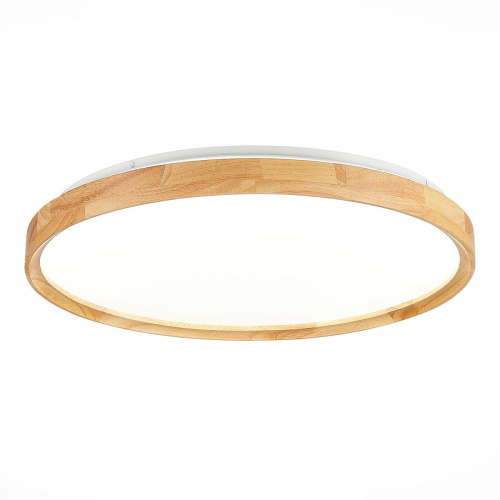 Потолочный сетодиодный светильник Evoluce Delia SLE201382-01 Потолочный сетодиодный светильник Evoluce Delia SLE201382-01