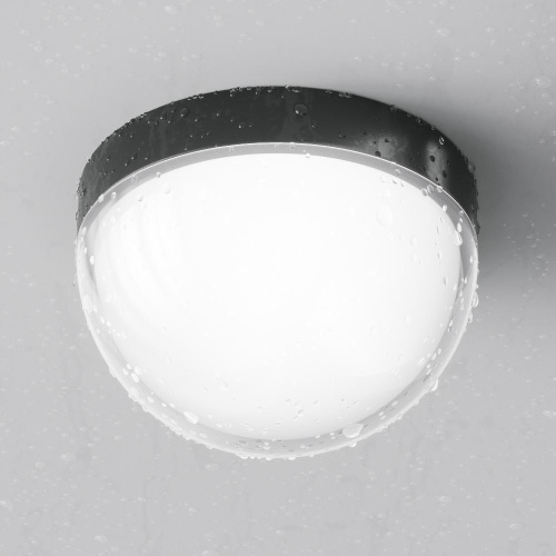 Потолочный светильник Outdoor O438CL-L12GF3K Потолочный светильник Outdoor O438CL-L12GF3K