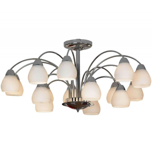 Потолочная люстра Lussole Apiro LSF-2403-15 Потолочная люстра Lussole Apiro LSF-2403-15