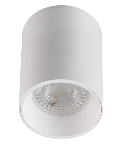 Потолочный светильник Denkirs DK3110-WH Потолочный светильник Denkirs DK3110-WH