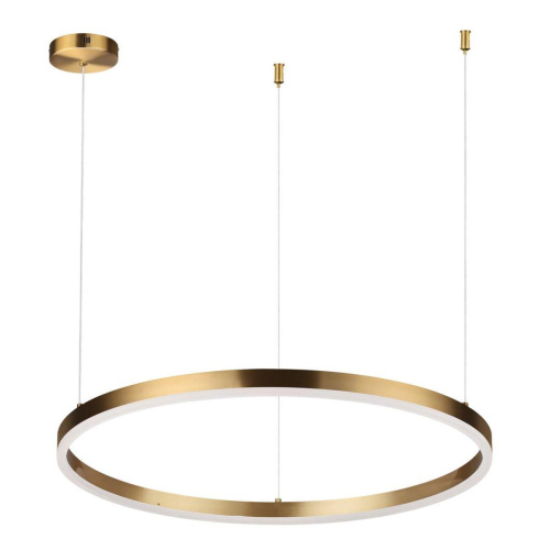 Подвесной светодиодный светильник Lumion Ledio Echo 6531/50L Подвесной светодиодный светильник Lumion Ledio Echo 6531/50L
