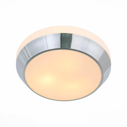 Потолочный светильник ST Luce Bagno SL469.502.03