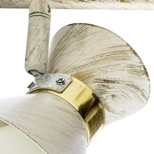 Спот Arte Lamp Baltimore A1406AP-2WG Спот Arte Lamp Baltimore A1406AP-2WG