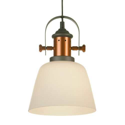 Подвесной светильник Lussole Loft GRLSP-9846 Подвесной светильник Lussole Loft GRLSP-9846