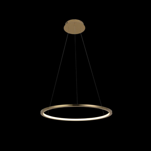 Подвесной светодиодный светильник Loft IT Ring 10014M Подвесной светодиодный светильник Loft IT Ring 10014M