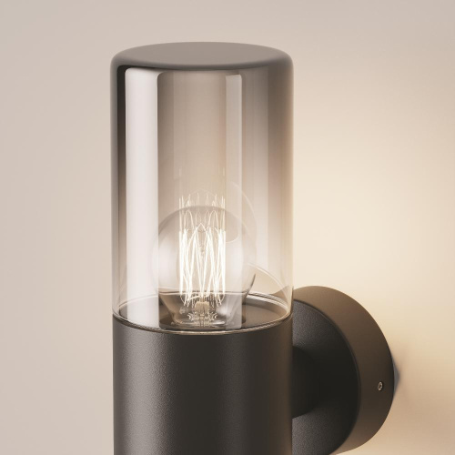 Настенный светильник (бра) Outdoor O432WL-01GF Настенный светильник (бра) Outdoor O432WL-01GF