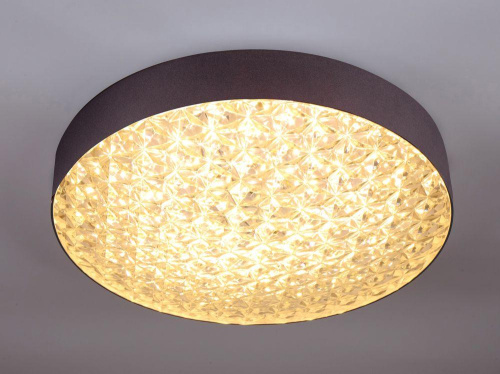 Потолочный светодиодный светильник Escada 10246/1LED Потолочный светодиодный светильник Escada 10246/1LED