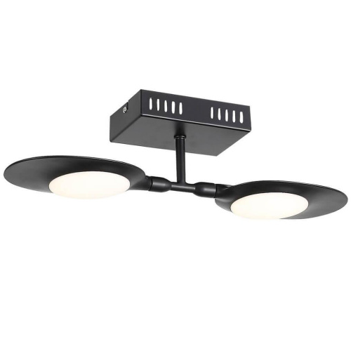 Потолочная светодиодная люстра ST Luce Farfalla SL824.401.02 Потолочная светодиодная люстра ST Luce Farfalla SL824.401.02