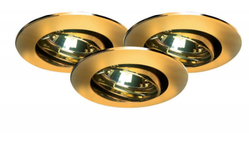 Встраиваемый светильник Paulmann Premium Line Halogen 99309 Встраиваемый светильник Paulmann Premium Line Halogen 99309
