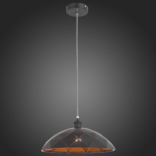 Подвесной светильник ST Luce Enigma SL258.443.01 Подвесной светильник ST Luce Enigma SL258.443.01