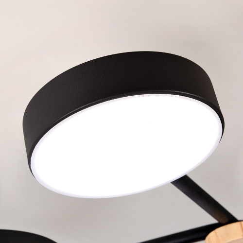 Потолочный светильник LED4U L3201-960 BK Потолочный светильник LED4U L3201-960 BK